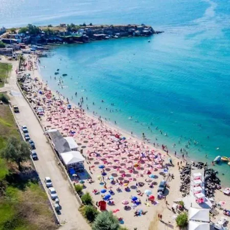 Sineva * Ravda