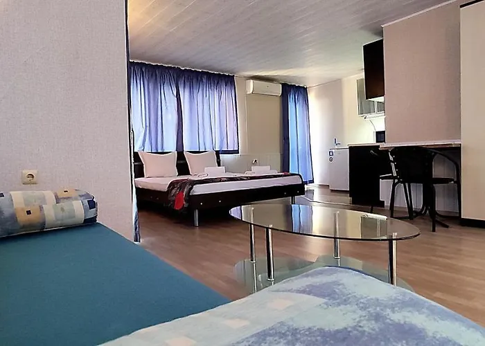 Sineva 게스트하우스