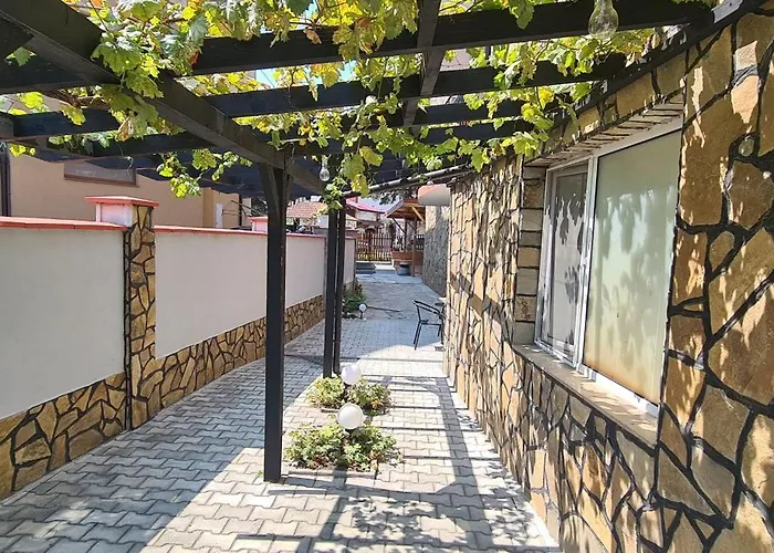 Sineva 게스트하우스