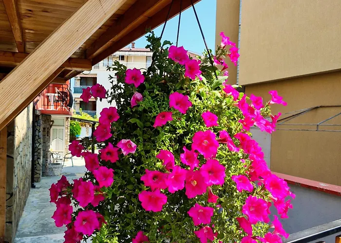 Sineva 게스트하우스 라브다