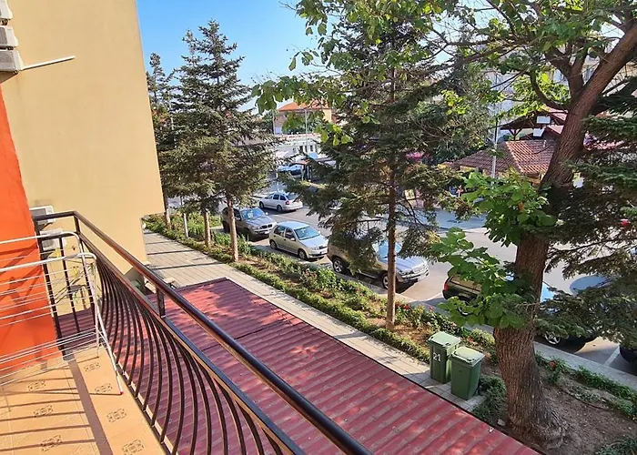 Sineva 게스트하우스