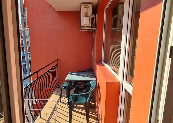 Sineva 게스트하우스